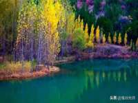上海恭发贸易有限公司