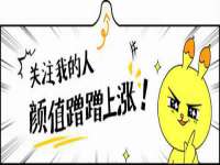 上海恭发贸易有限公司