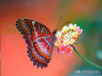 上海恭发贸易有限公司