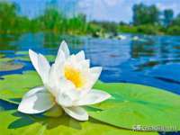 上海恭发贸易有限公司