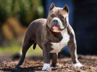 上海恭发贸易有限公司