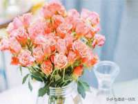 上海恭发贸易有限公司