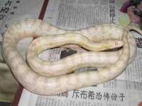 上海恭发贸易有限公司