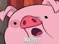 上海恭发贸易有限公司