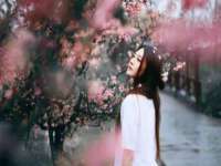 上海恭发贸易有限公司