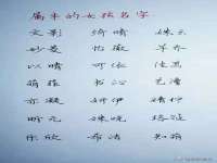 上海恭发贸易有限公司